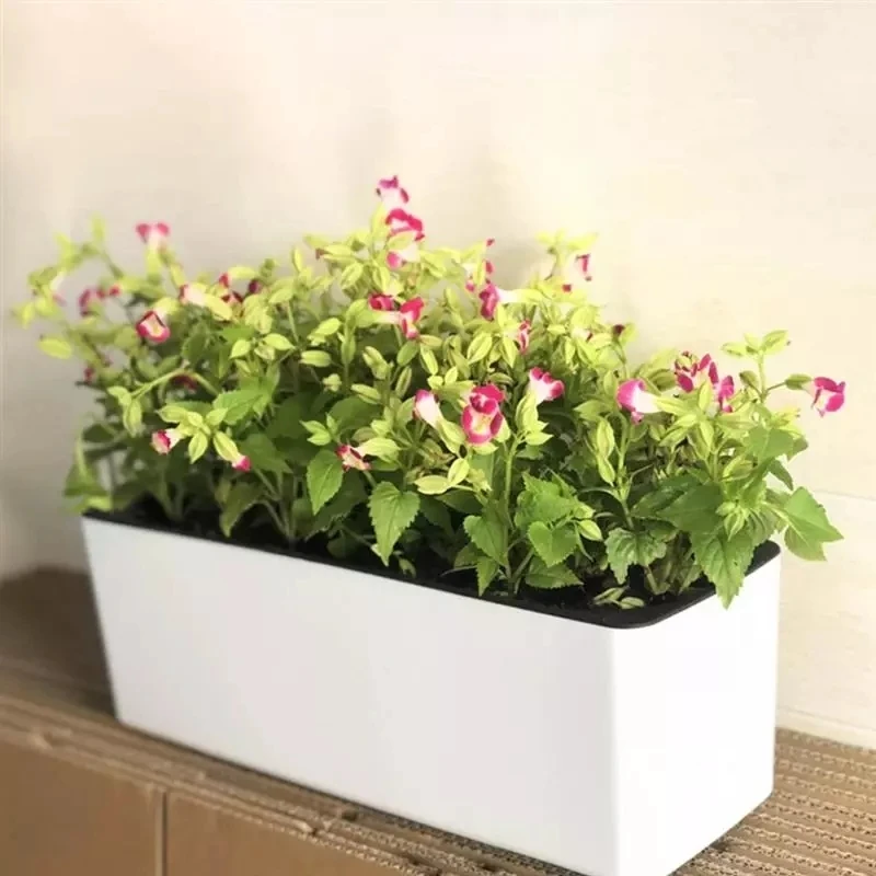 Hydroponic Grow Pod - Прямоугольный ленивый цветочный горшок в горшке,