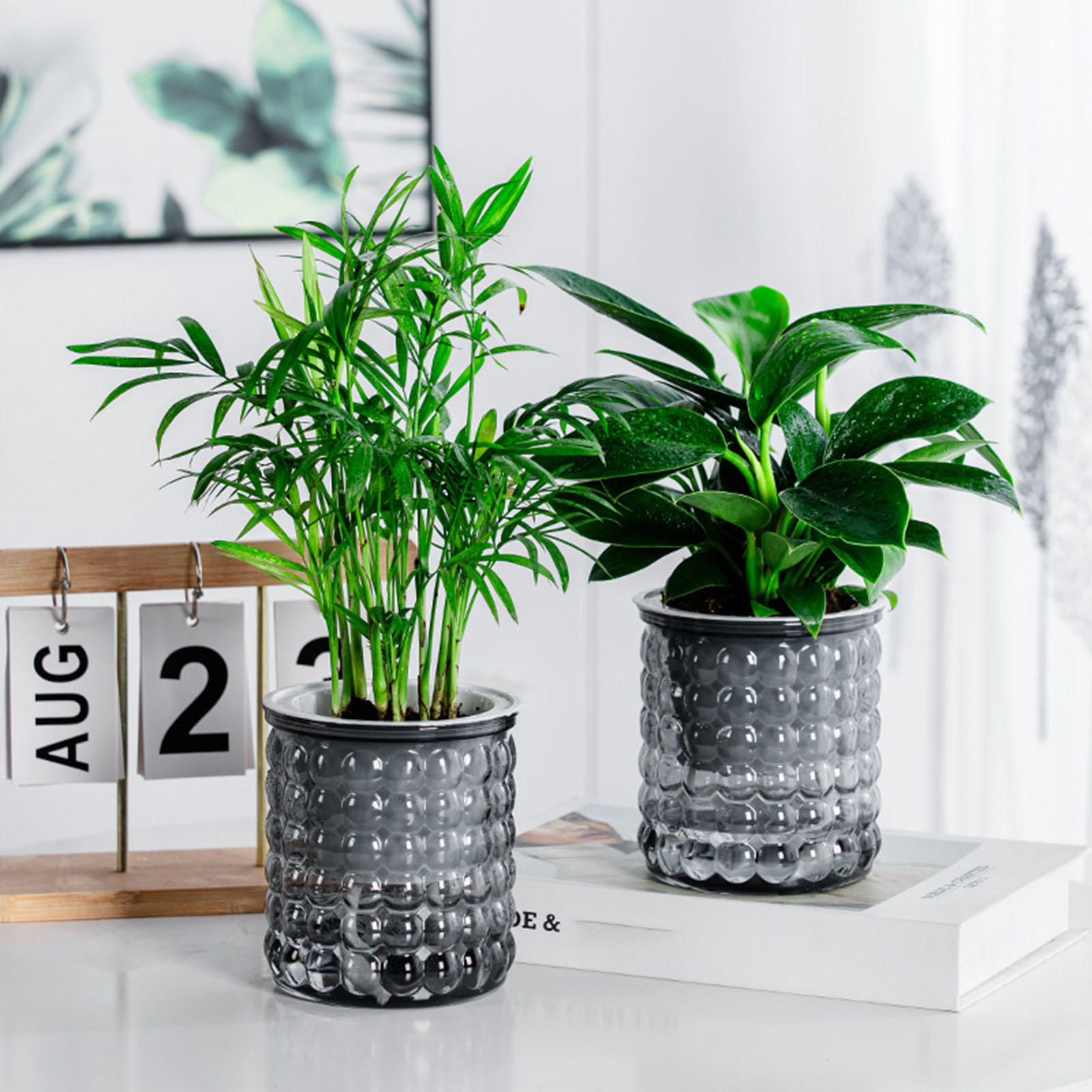 Новый самополивный горшок для  – обзор и цена Hydroponic Grow Pod