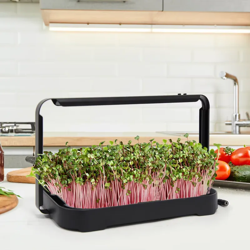 Гидропонный лоток для выращива – обзор и цена Smart Garden System