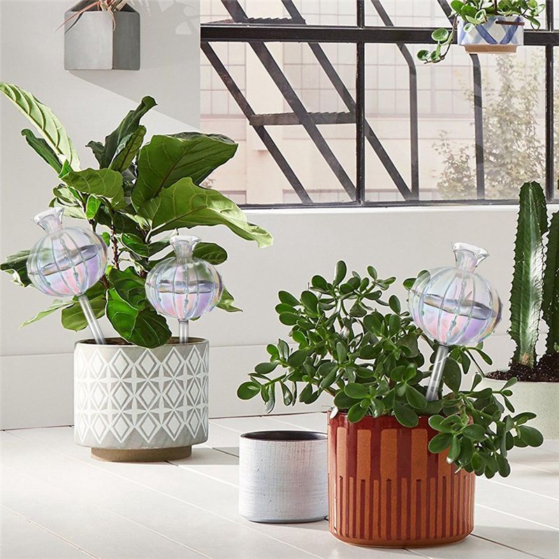 AA94 – влагозапасающие шары дл – обзор и цена Self Watering Planter